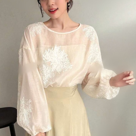 Embroidered floral print semi sheer puff sleeve blouse - Picture 5 of 5